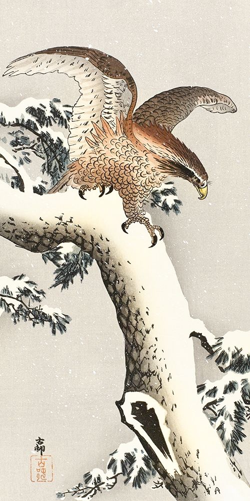 Eagle on a tree branch