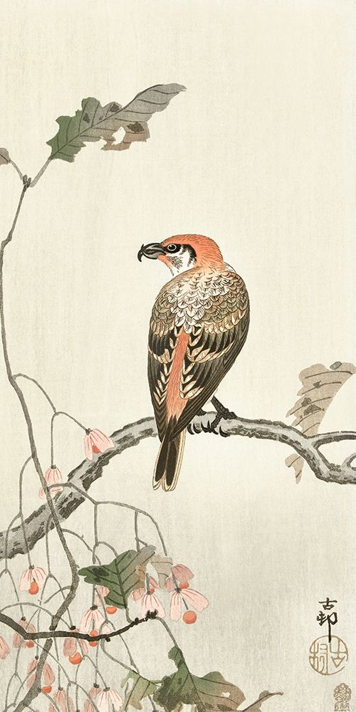 Crossbill on tree branch