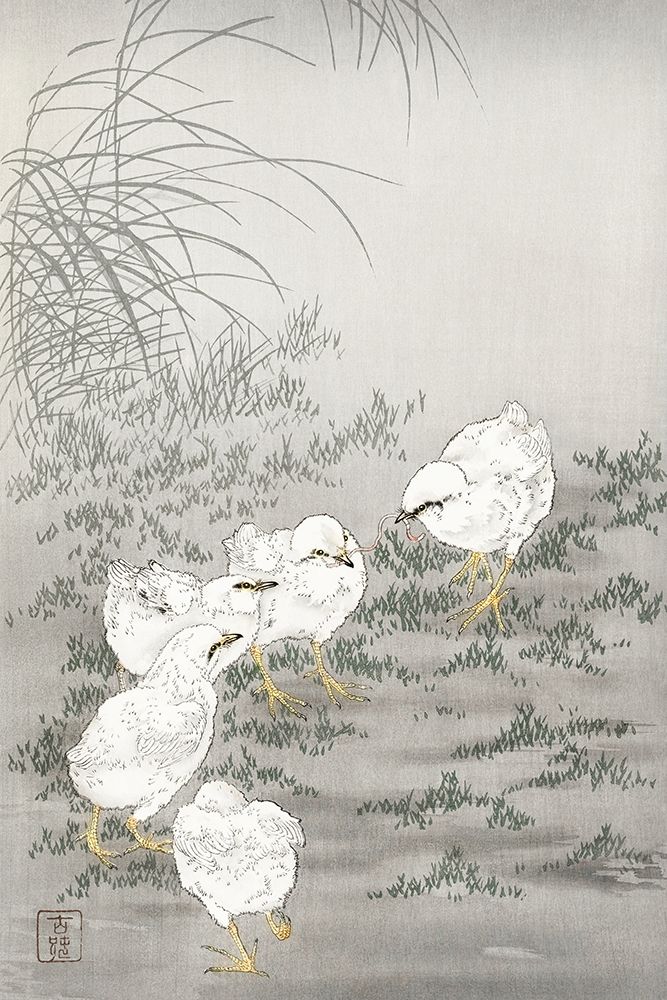 Five chicks
