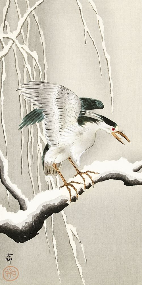 Emerge on snowy branch