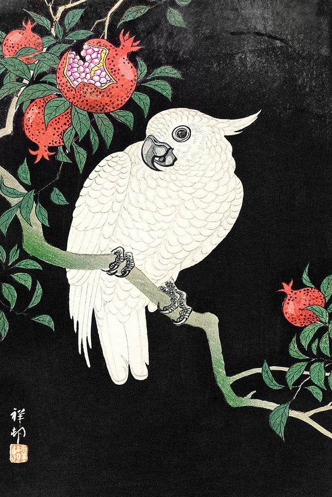 Cockatoo and Pomegranate