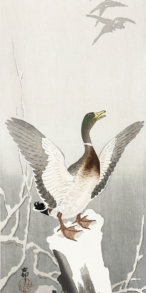 Duck on snowy tree stump