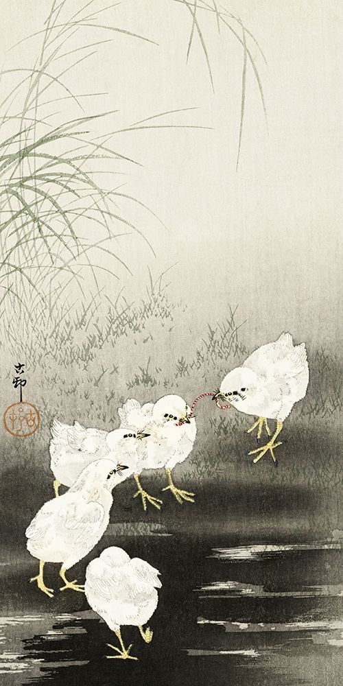 Chicks eating worms
