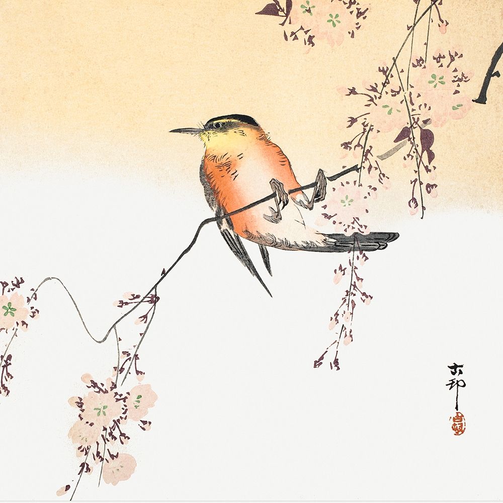 Songbird and Blossoming Cherry