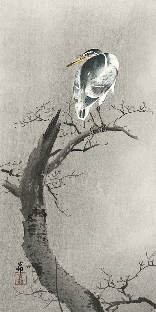 Kwak on branch