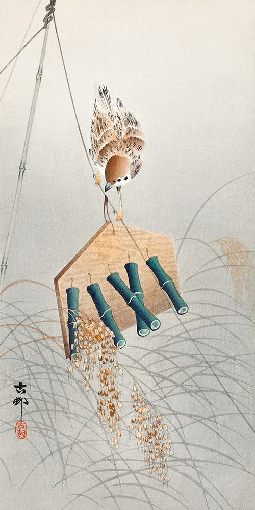 Ring sparrow on scarecrow