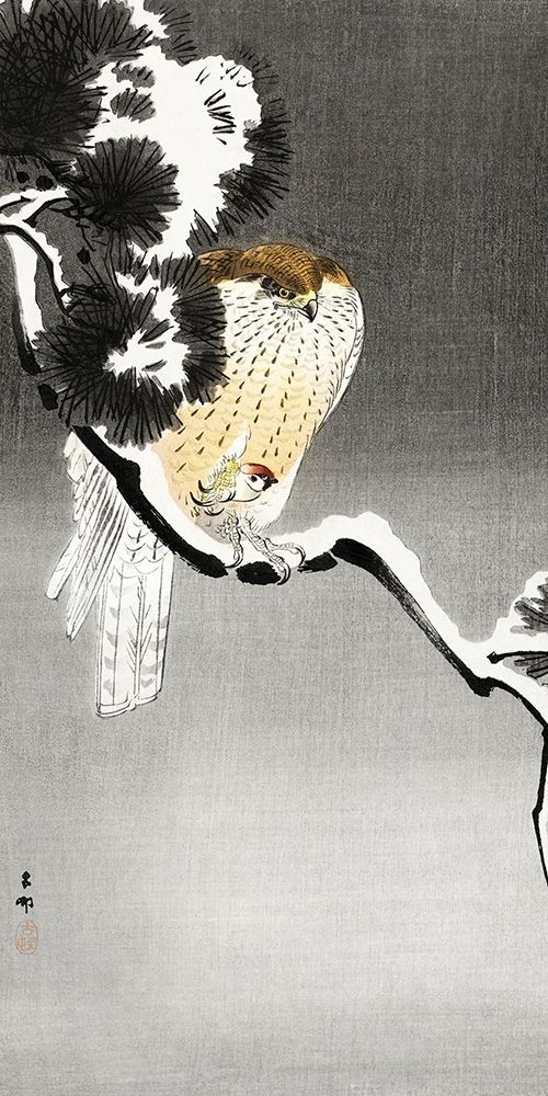 Hawk with sparrow