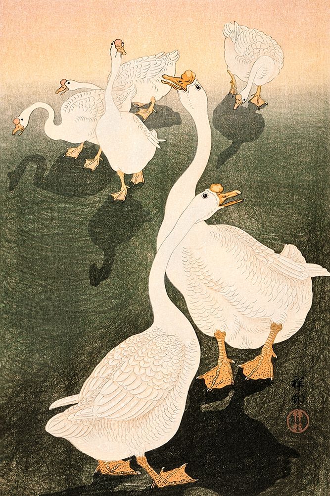 Geese