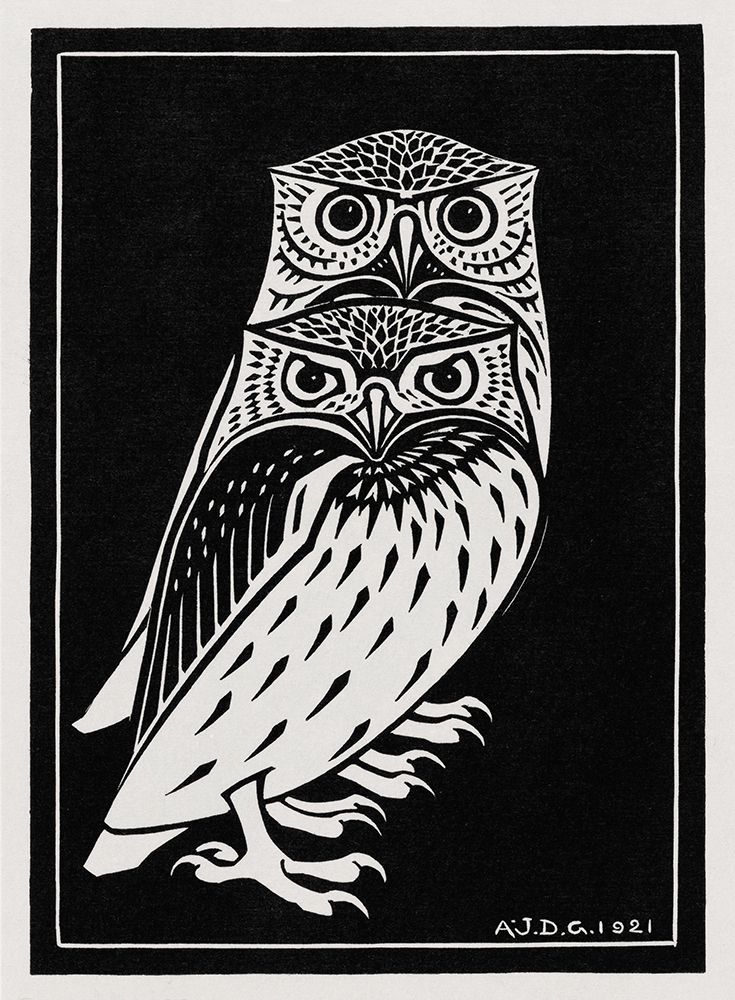 Two owls