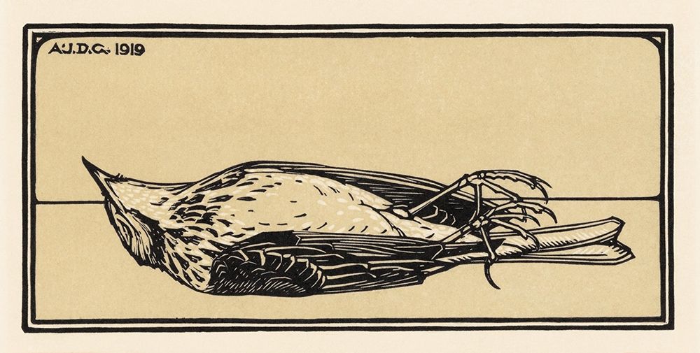 Dead bird