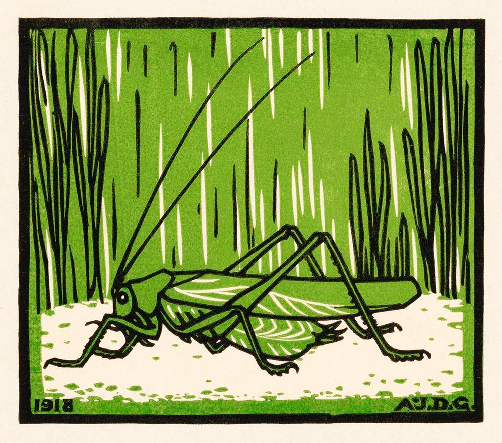 Grasshopper