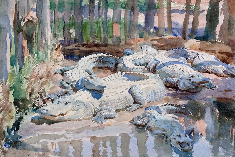 Muddy Alligators