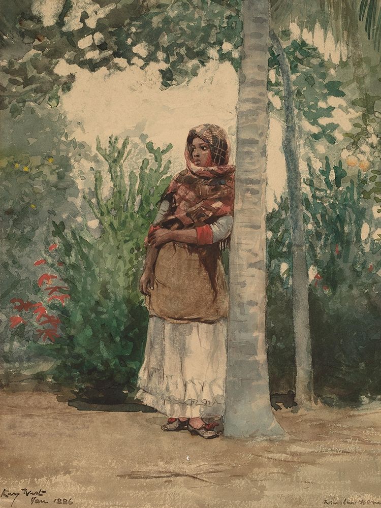 Under a Palm Tree