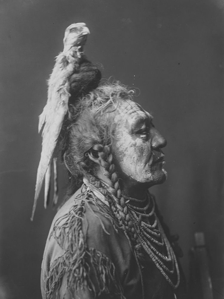 Two Whistles, Apsaroke