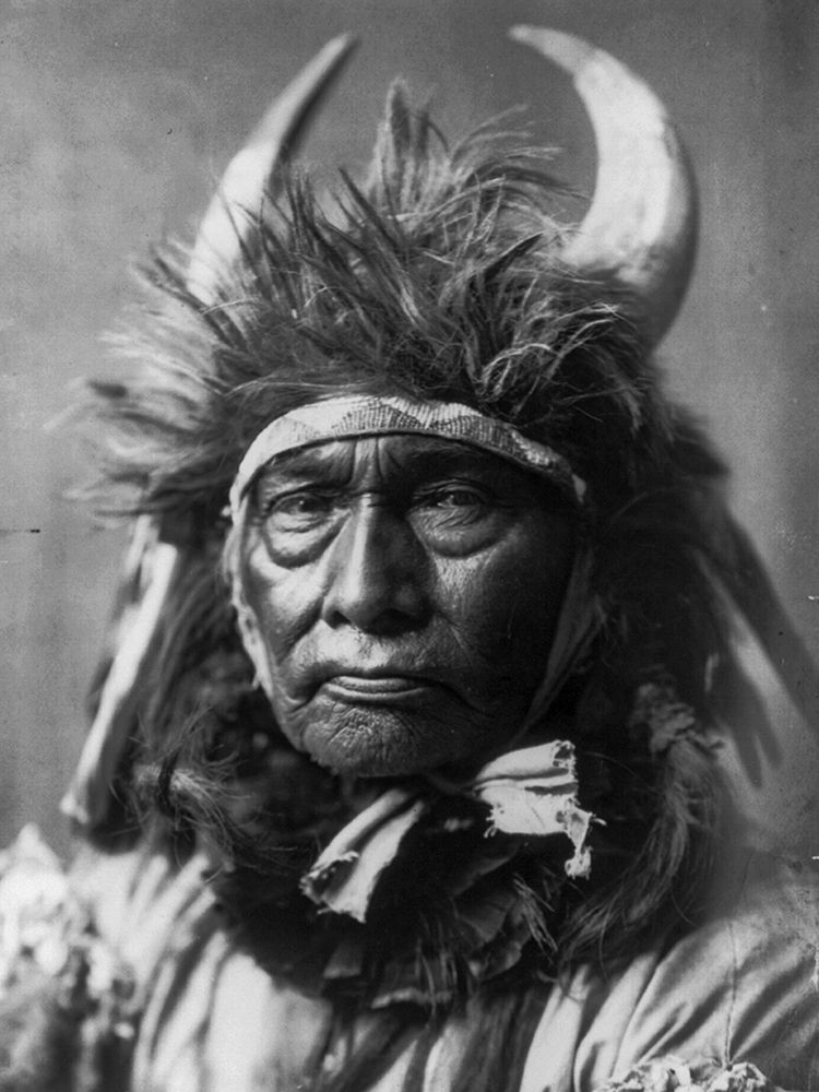 Bull Chief, Apsaroke