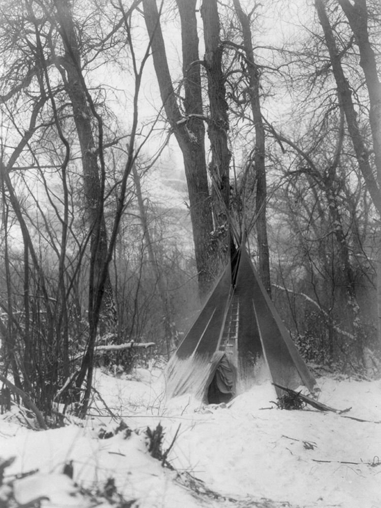 In the forest