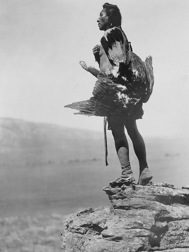 The eagle catcher