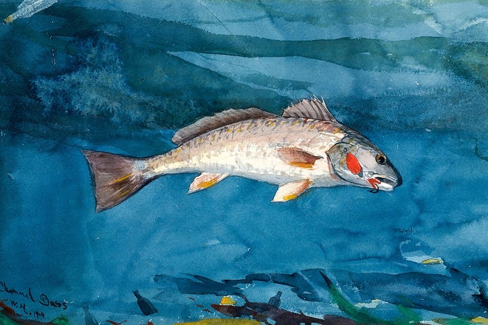Channel Bass
