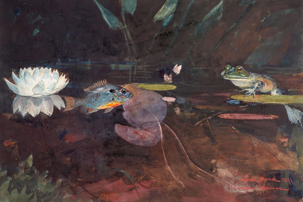 Mink Pond