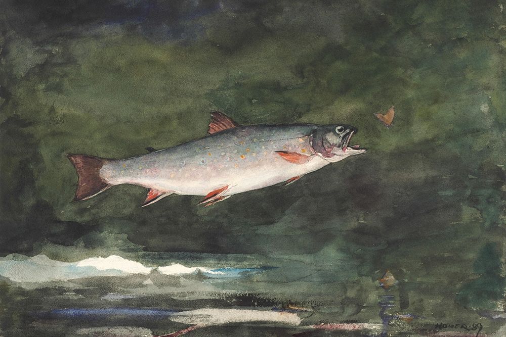 Leaping Trout