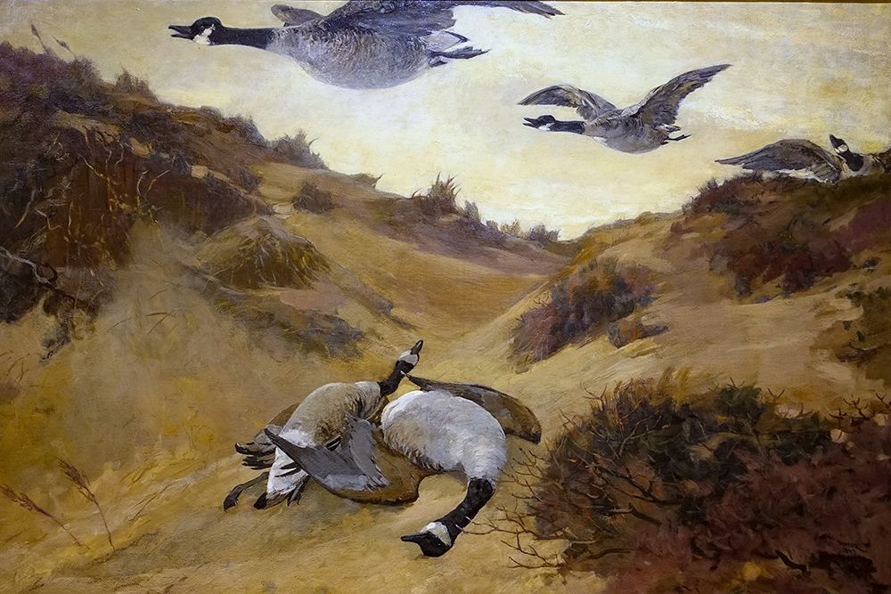 Wild Geese in Flight