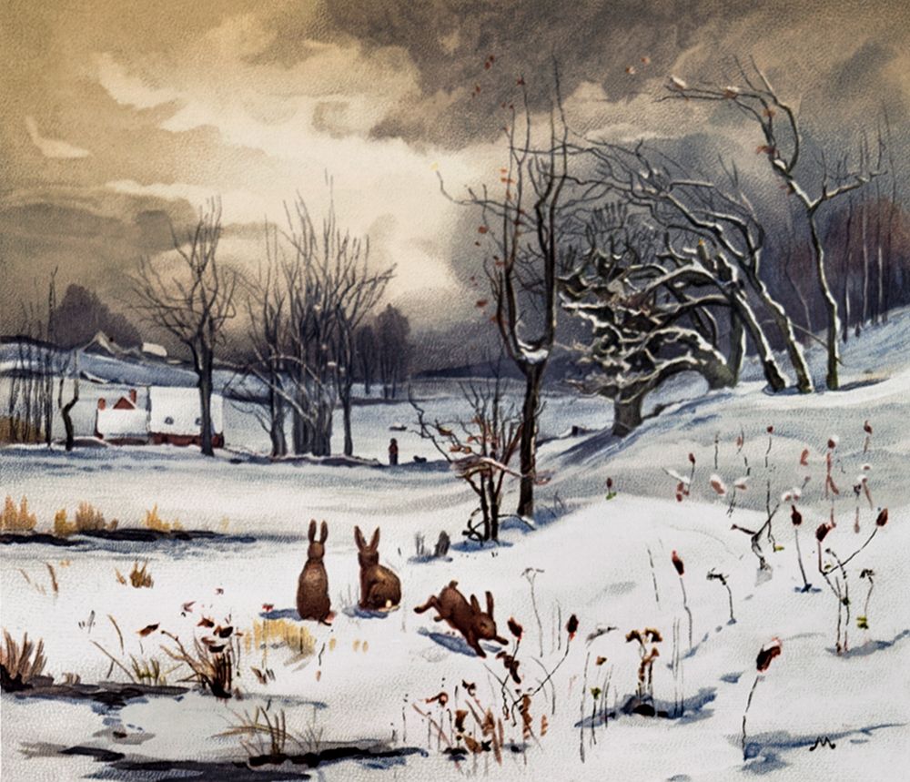 Winter Landscapes Rabbits