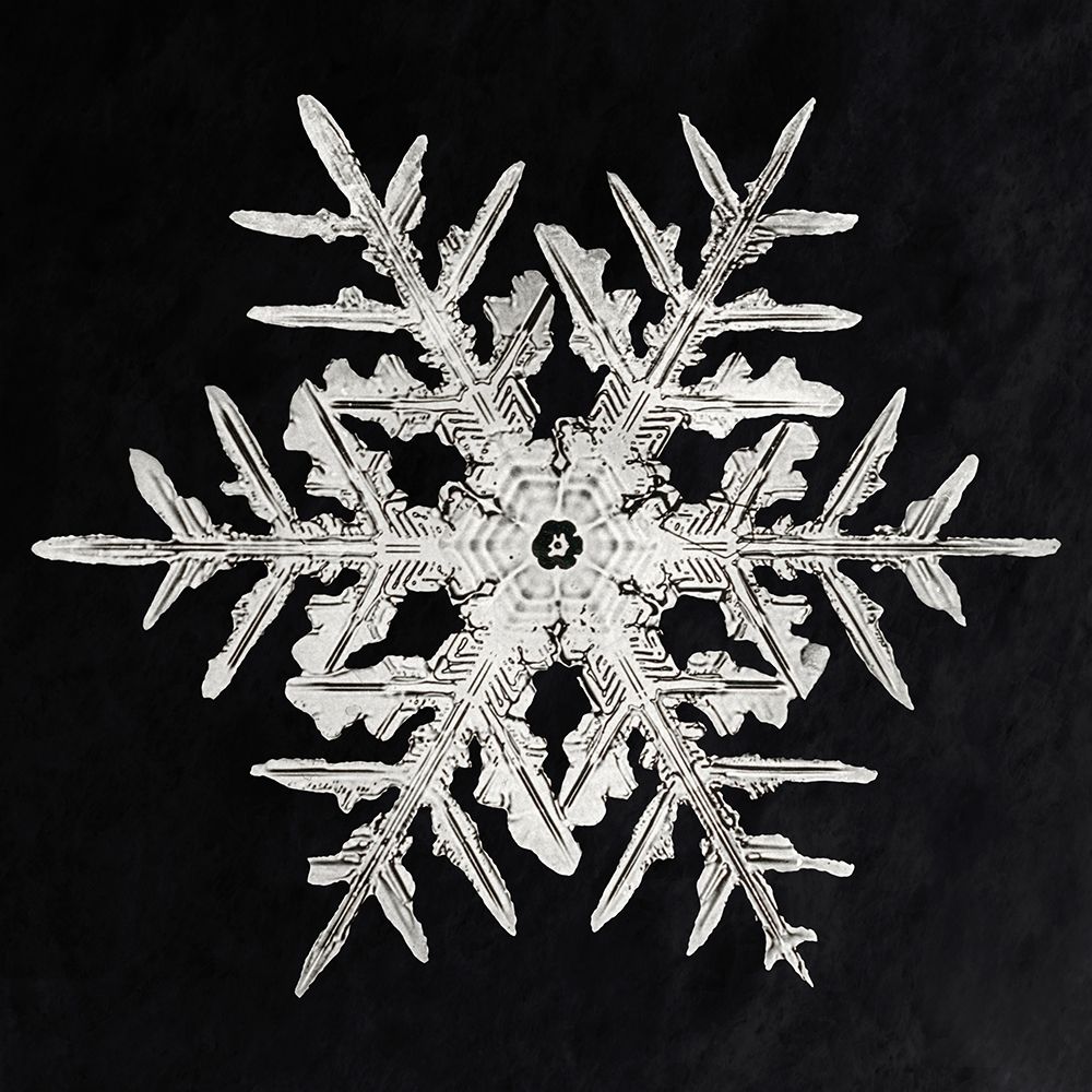 Snowflake 332