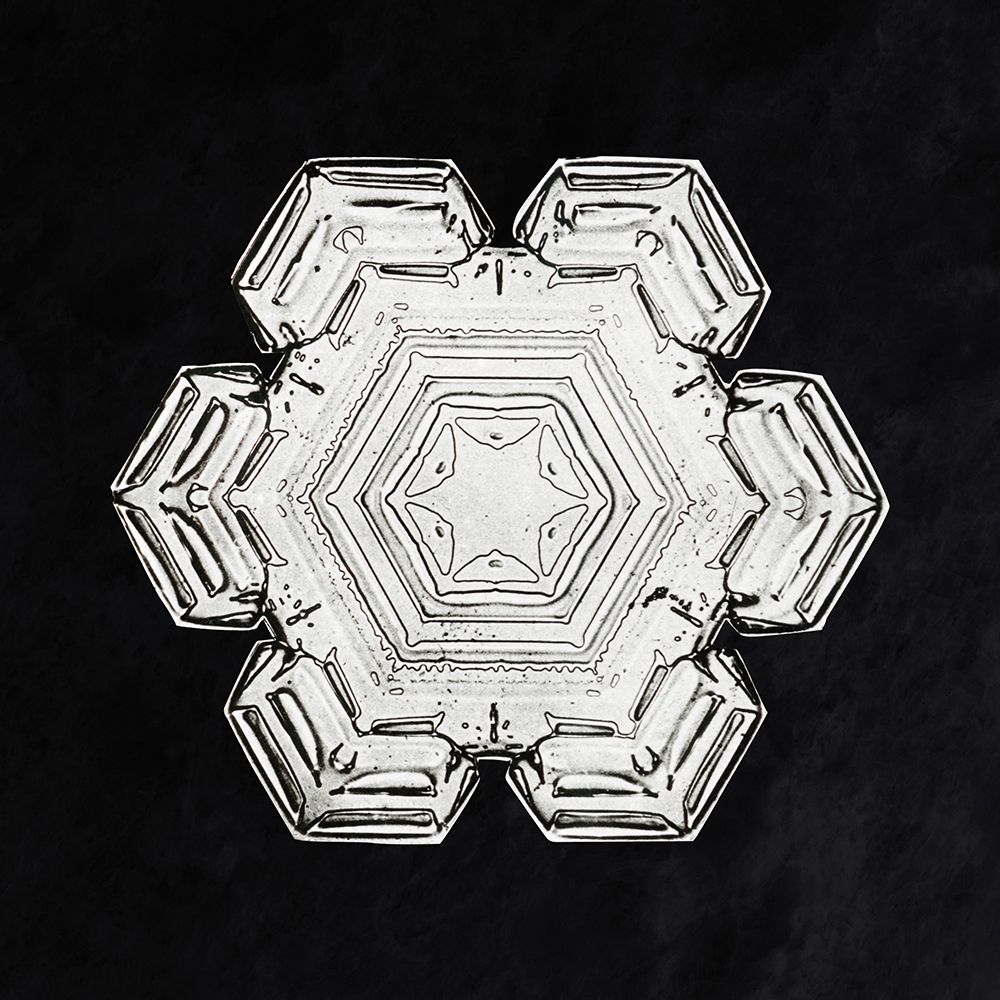 Snowflake 10