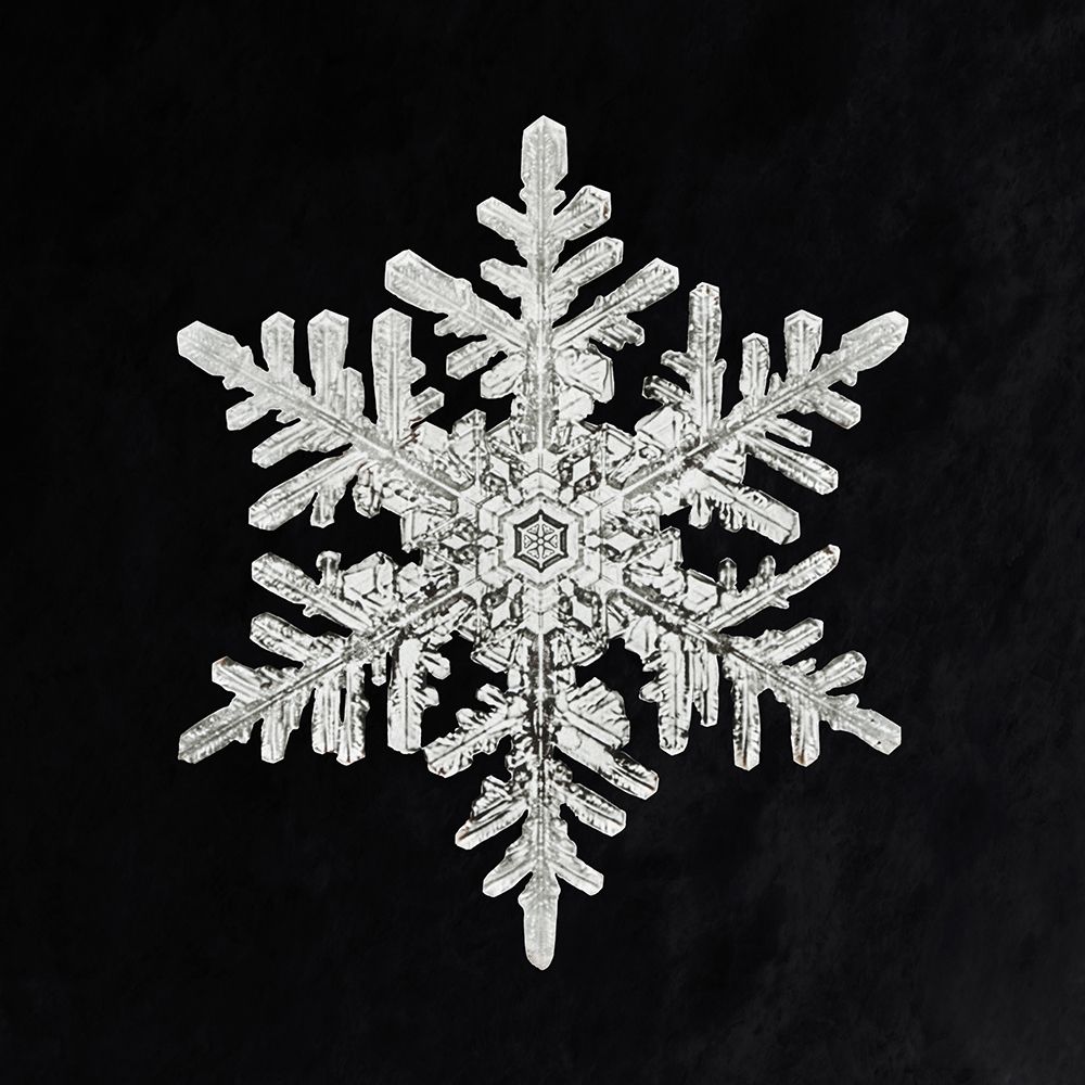Snowflake 1152
