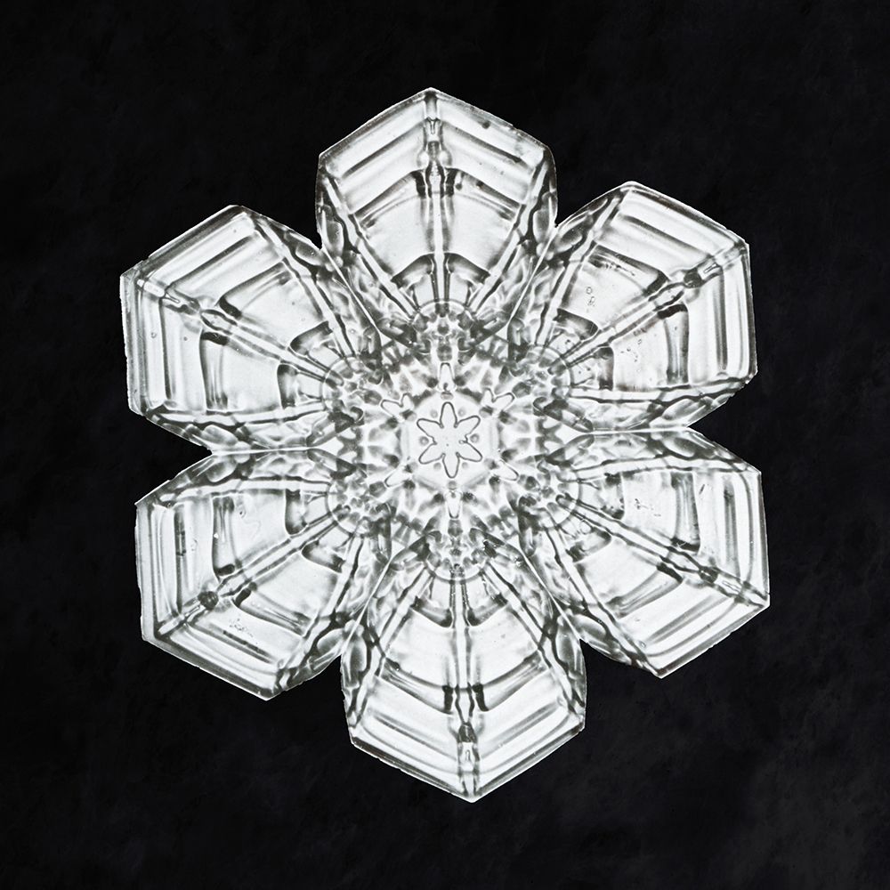 Snowflake 10A