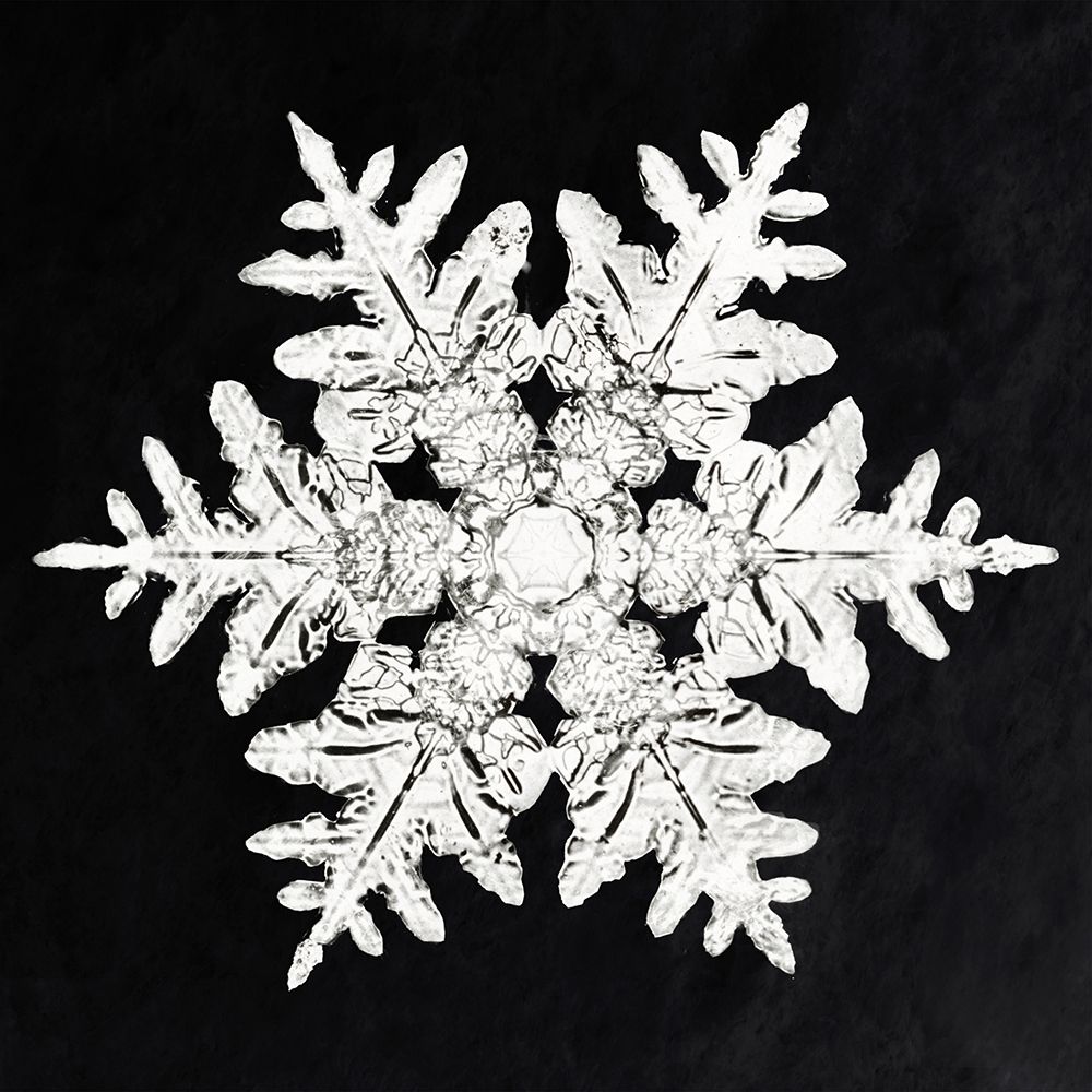 Snowflake 990