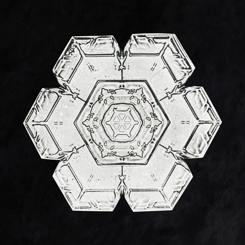 Snowflake 562