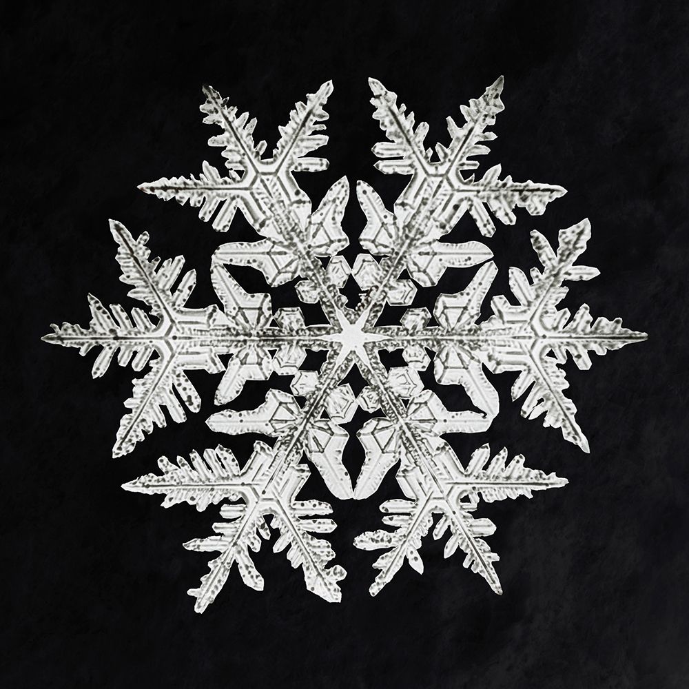 Snowflake 920