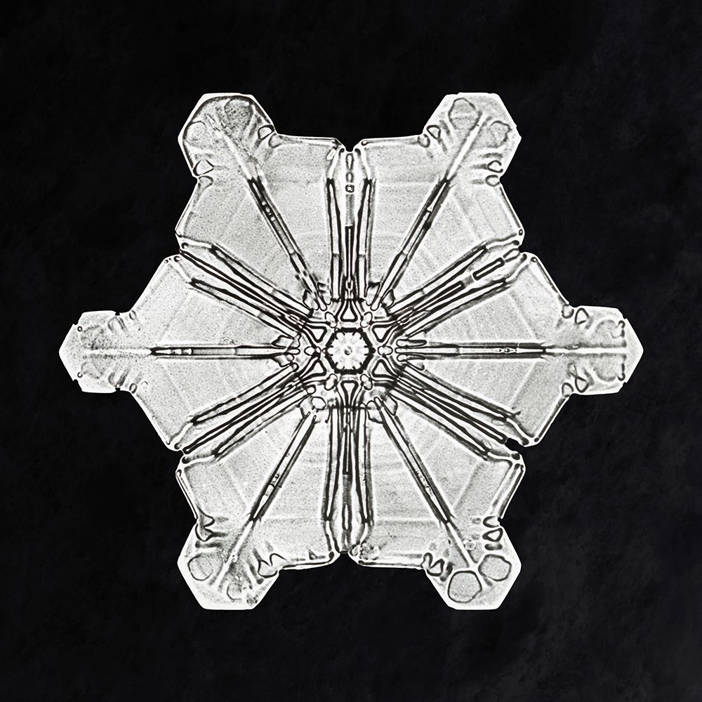 Snowflake 976