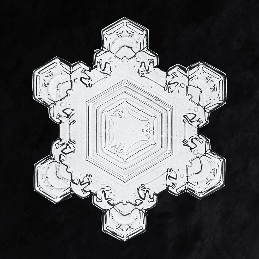 Snowflake 1205