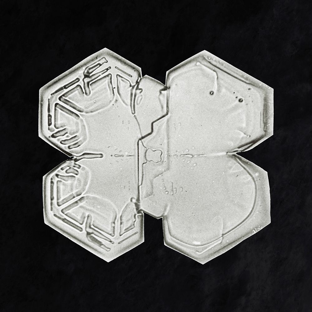 Snowflake 1225