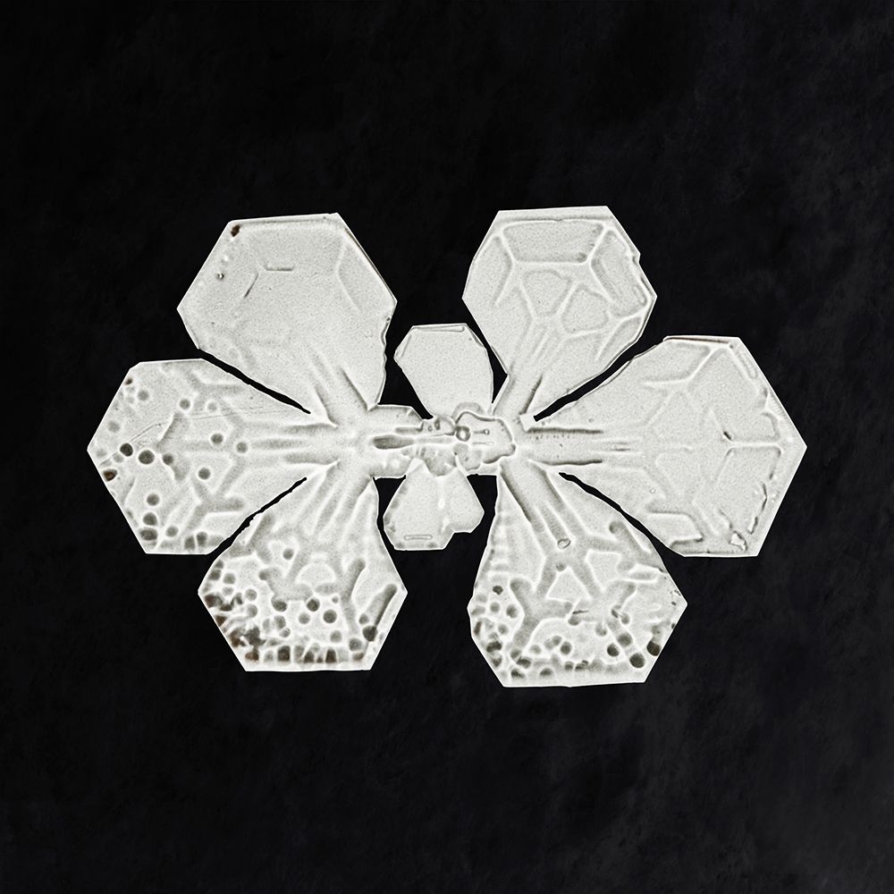 Snowflake 349