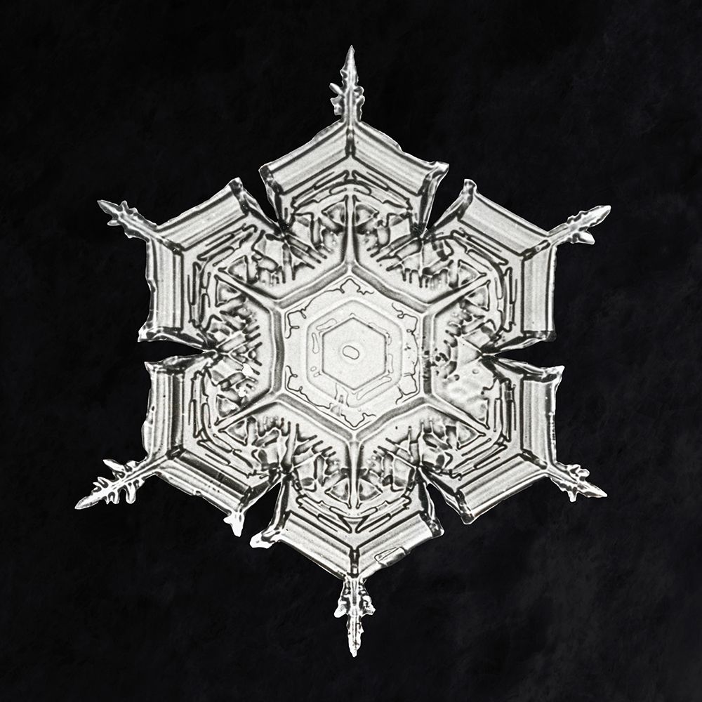 Snowflake 579A