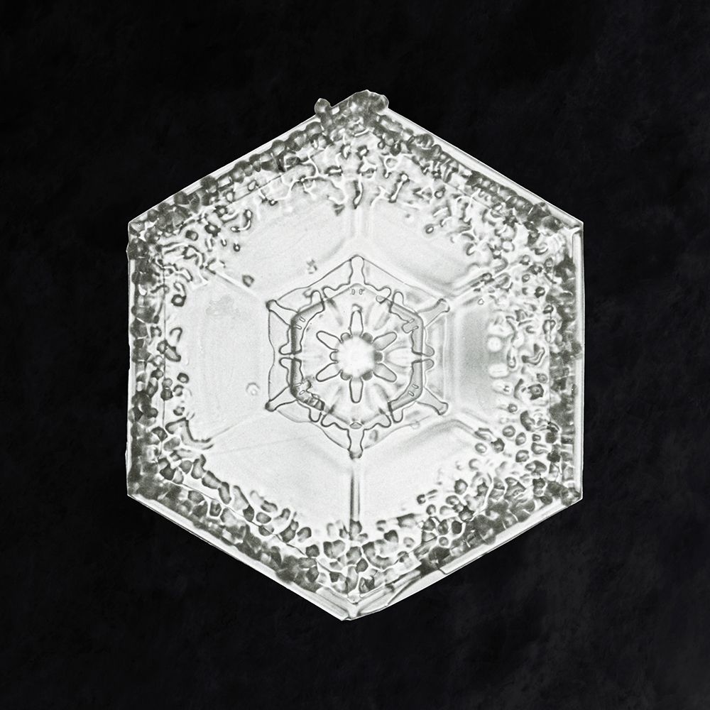 Snowflake 951