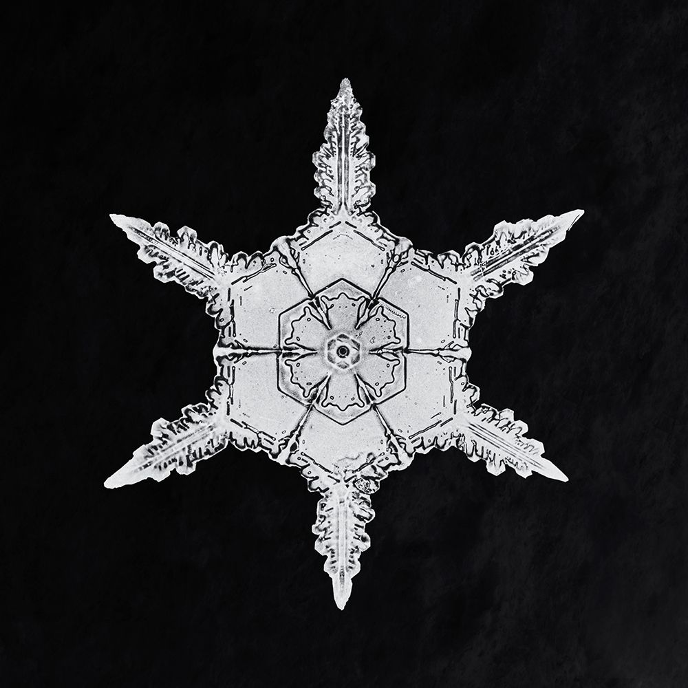 Snowflake 342