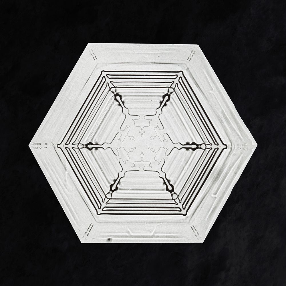 Snowflake 234