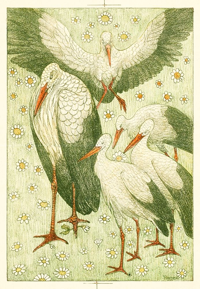 Five storks in a meadow