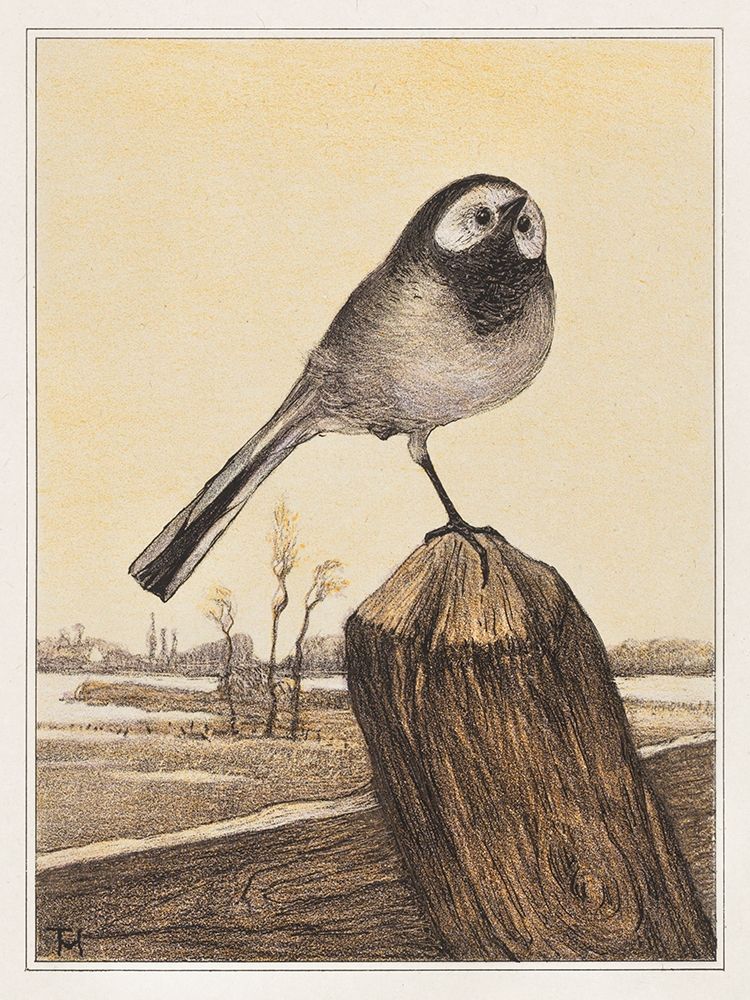 Wagtail on pole