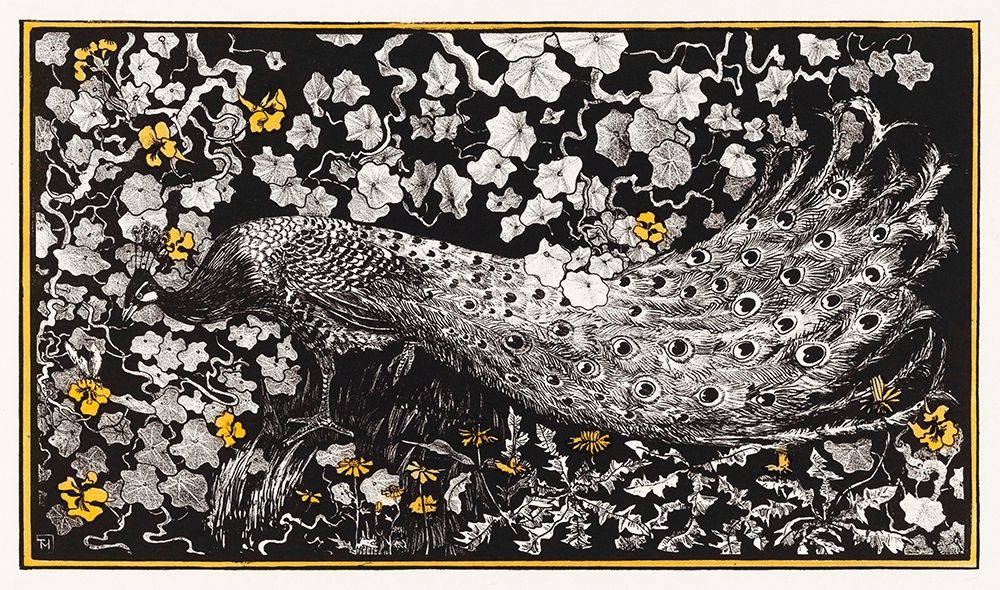 Peacock
