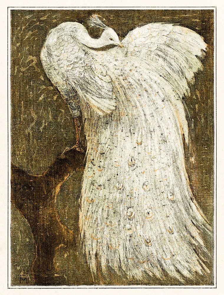 White peacock on branch