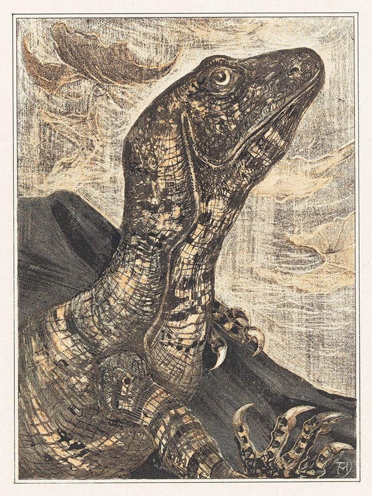 Iguana