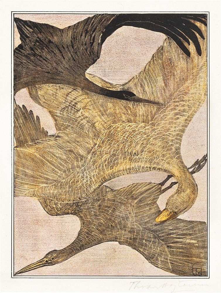 Three flying birds