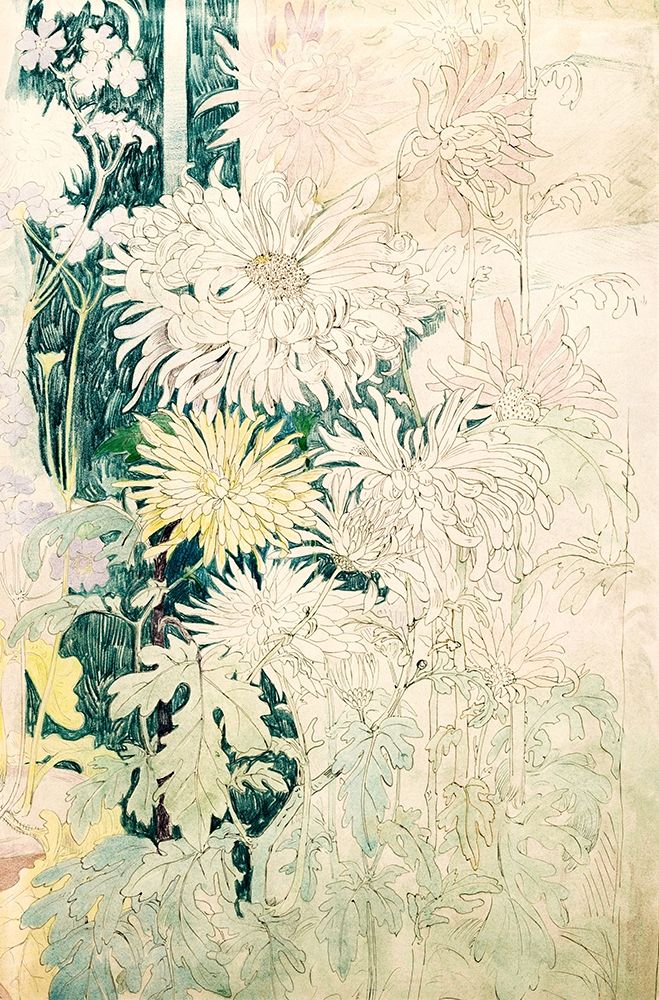 Chrysanthemums and fall flowers