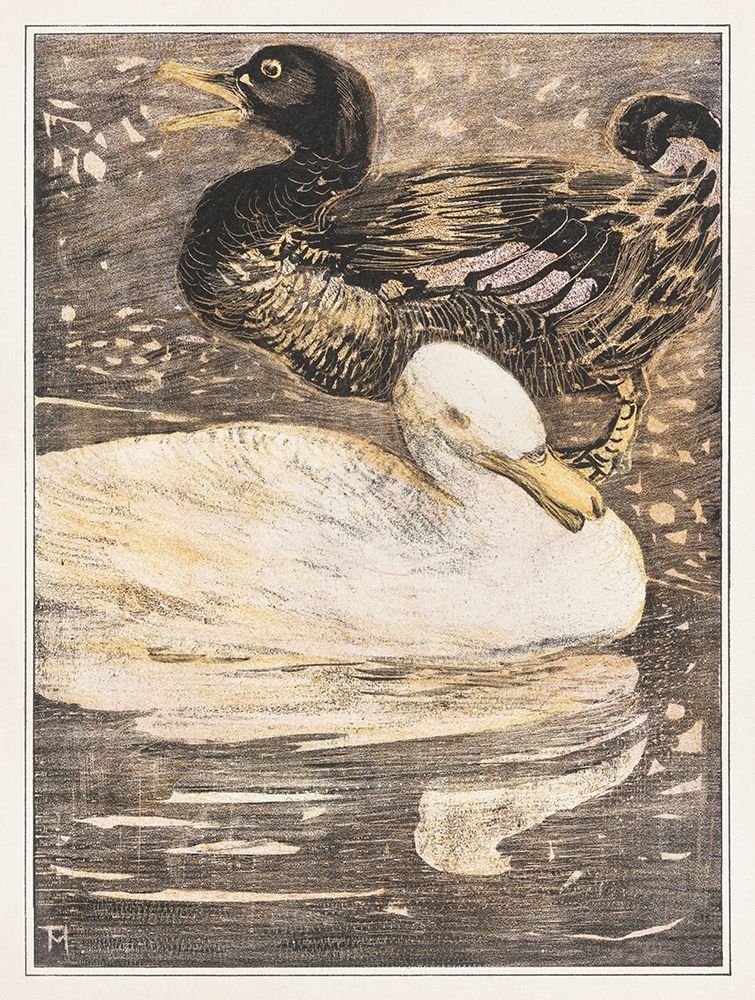 Two ducks