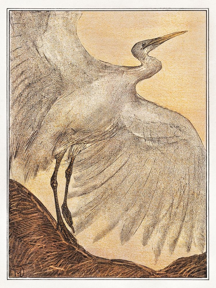 Egret